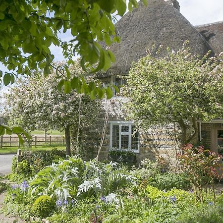 Tudor Cottage B&B Frampton Dorchester Eksteriør billede