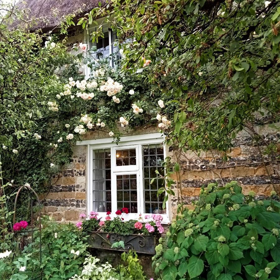 Tudor Cottage B&B Frampton Dorchester Eksteriør billede