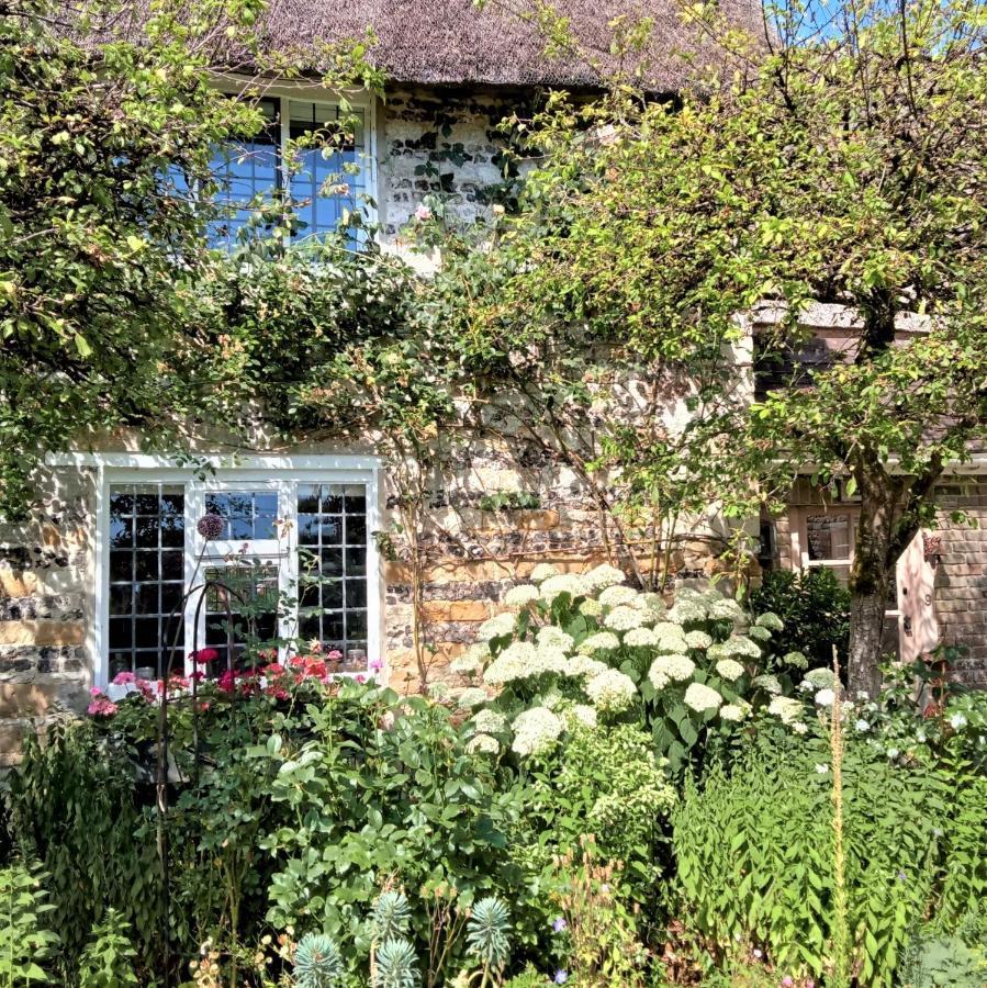 Tudor Cottage B&B Frampton Dorchester Eksteriør billede