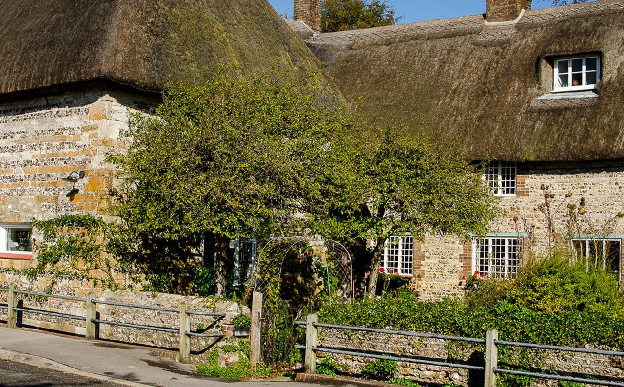 Tudor Cottage B&B Frampton Dorchester Eksteriør billede