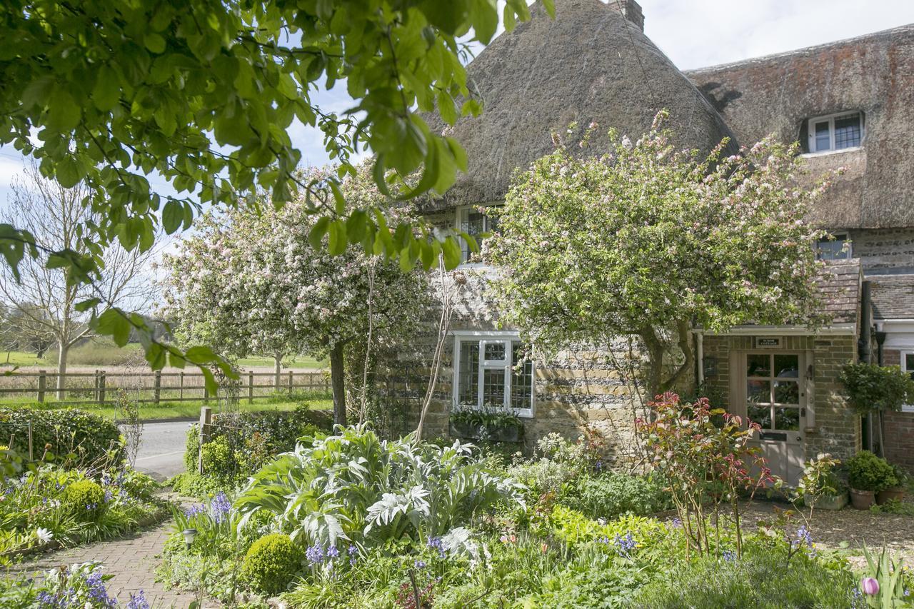 Tudor Cottage B&B Frampton Dorchester Eksteriør billede